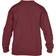 Gildan Youth Crewneck Sweatshirt 2-pack - Maroon