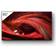 Sony FWD-85X95J