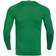 JAKO Compression 2.0 Longsleeve Men - Sport Green