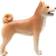 Mojo Shiba Hund 387140