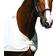 Horseware Liner Waterproof Fly