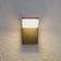 Lucande Nevio Wall light