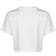 Dickies Porterdale Crop T-shirt - White