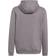 Adidas Junior Entrada 22 Hoodie - Team Grey Four (H57515)