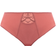 Elomi Cate Full Brief