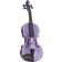 stentor HARLEQUIN 3/4 Black Violino Acustico