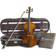 stentor Graduate 1/2 Violino Acustico