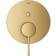 Grohe Essence (24058GN1) Brushed Brass