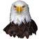 Madd Capp I am Eagle 300 Pieces