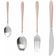Salter Metallic Bestickset 16st