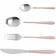 Salter Metallic Bestickset 16st