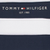 Tommy Hilfiger Essential Organic Cotton Stripe T-shirt - Blue Stripe (KB0KB07017)