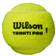 Wilson Triniti Pro - 4 Balls