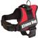 Xtreme Dog Harness L