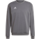 Adidas Entrada 22 Sweatshirt Men - Team Grey Four