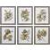 Uttermost Seedlings Wall Decor 20x24"