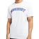 Superdry Energy Varsity Applique T-shirt Unisex - Optic