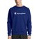 Champion Powerblend Fleece Crew Script Logo Sweatshirt - Surf The Web