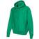 Champion Reverse Weave Hoodie C Logo Unisex - Native Fern Green