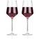 Viski Raye Wine Glass 16fl oz 2