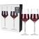 Viski Raye Wine Glass 16fl oz 2