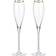 Viski Belmont Rimmed Champagne Glass 2