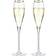 Viski Belmont Rimmed Champagne Glass 2