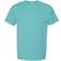 Hanes ComfortWash Garment Dyed Short Sleeve T-shirt Unisex - Spanish Moss