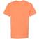 Hanes ComfortWash Garment Dyed Short Sleeve T-shirt Unisex - Horizon