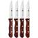 Zwilling 39134-000 Set di Coltelli