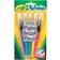 Crayola Washable No Drip Paint Brush Pens 5-pack