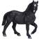 Mojo Percheron Hest