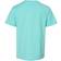 Hanes Youth ComfortWash Short Sleeve Crew Tee - Mint (GDH175)