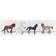 Collecta Horse Figures in Tube Gift Set (Pack of 12)