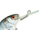 Salmo Hornet 4F 4 cm wobbler