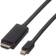 Roline Câble Vidéo DisplayPort HDMI Mini 2 m 2m