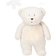 Humming Teddy Bear with Light