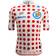 Santini Tour de France 2024 Replica Team Jersey Polka