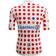 Santini Tour de France 2024 Replica Team Jersey Polka