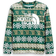 The North Face Toddler Surgent Crew Set - Night Green Halfdome Fairisle Print (NF0A4CBQ-2J9)