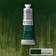 Winsor & Newton Winton Oljefärg 37 ml Grön