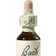 Bach Gentian 20ml