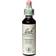 Bach Cherry Plum 20ml