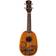 Luna Uke Tattoo Concert