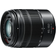 Panasonic Lumix G Vario 45-150mm F4-5.6 Asph Mega O.I.S. for Micro 4:3