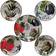 Certified International Botanical Veggies Serving Bowl 5pcs
