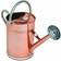 Kent & Stowe Metal Watering Can 9L