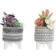 Dkd Home Decor S3020236 Konstgjord växt 2st