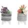 Dkd Home Decor S3020236 Plante Artificielle 2pcs