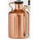 GrowlerWerks uKeg Beverage Dispenser 3.78L